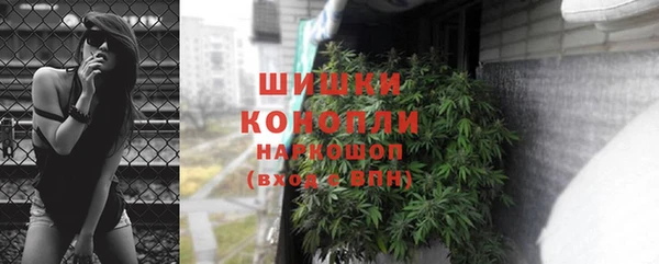 дживик Болхов
