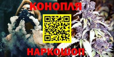 гидропоника Гусев