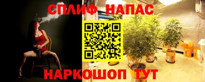 ПСИЛОЦИБИНОВЫЕ ГРИБЫ Балашиха