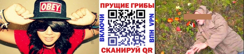 купить наркоту Петропавловск-Камчатский Галлюциногенные грибы ЛСД