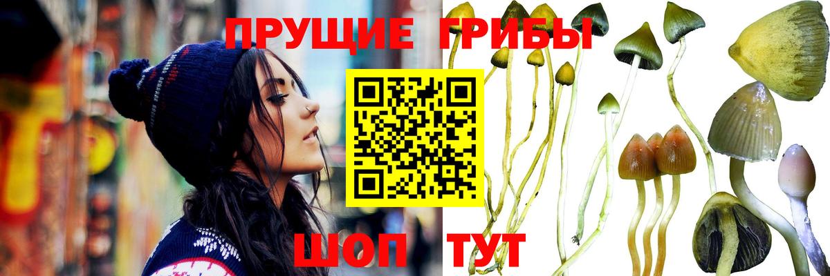 Галлюциногенные грибы Psilocybe  Вход с VPN  Петропавловск-Камчатский  Псилоцибиновые грибы Cubensis 