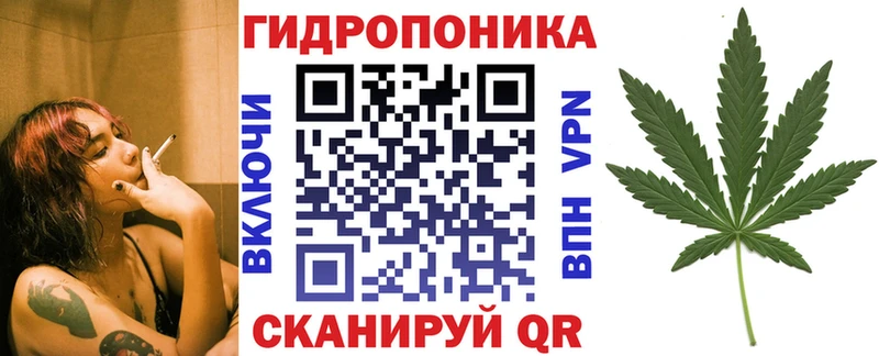 Конопля Bruce Banner Петропавловск-Камчатский